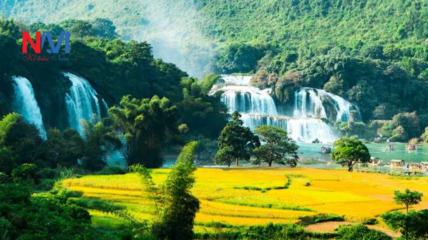 Dịch vụ kế toán trọn gói tại Thái Nguyên
